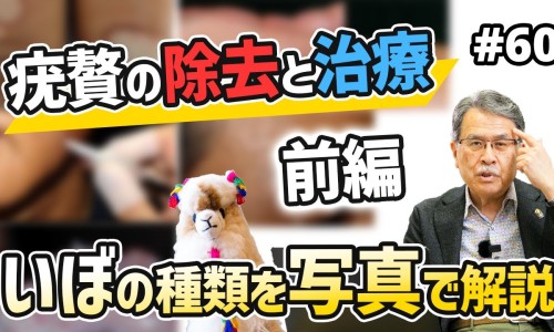 萝卜的功效与作用与主治-权威葛根的功效与作用平台,分享专业葛根的功效与作用知识_萝?的功效与作用网